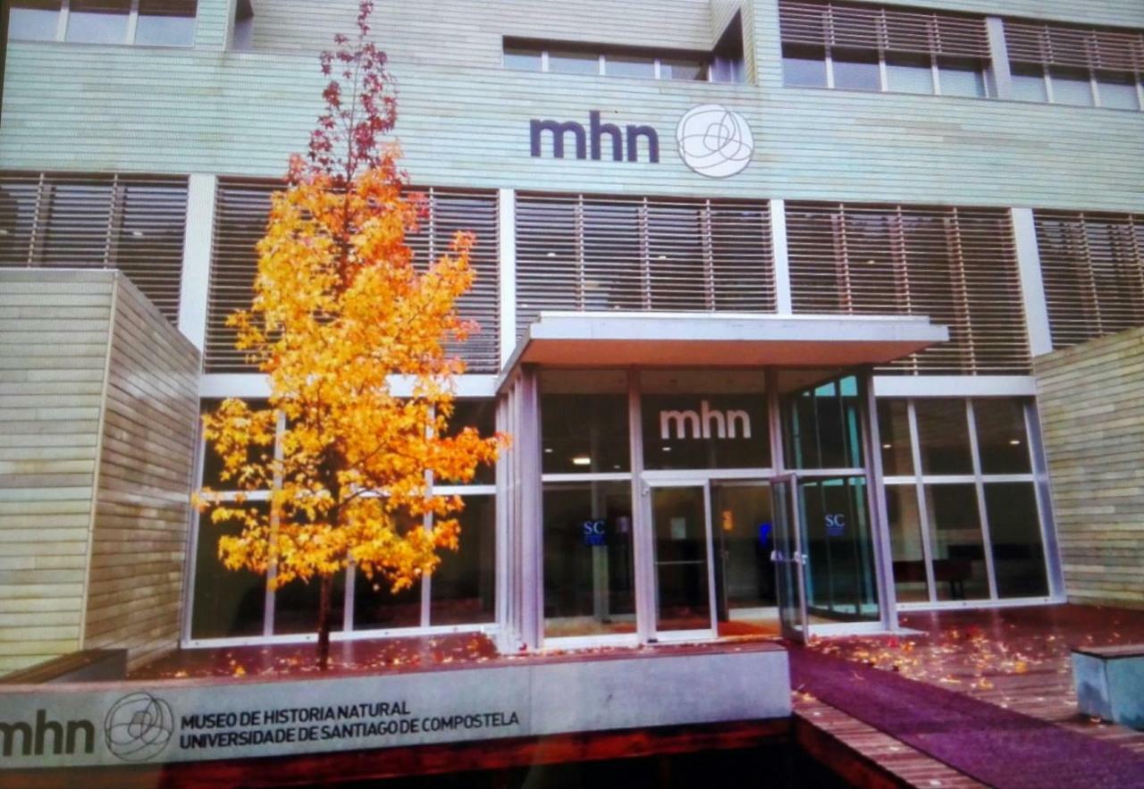 סנטיאגו דה קומפוסטלה Ada Apartamento מראה חיצוני תמונה